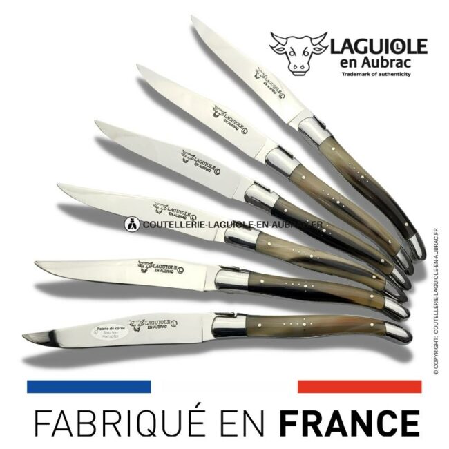 6 couteaux de table laguiole en pointe de corne