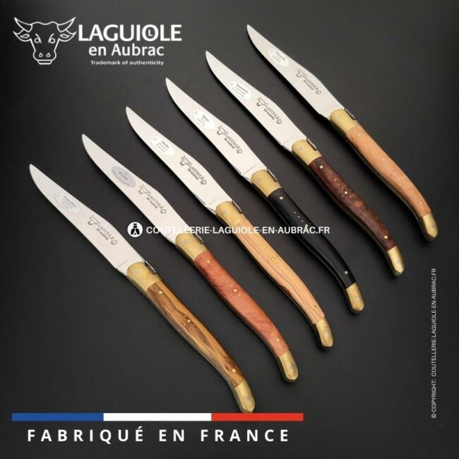 6 couteaux de table laguiole en 6 bois mixtes mitres laiton