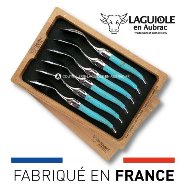 cuillères à soupe laguiole en turquoise
