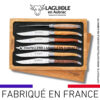 6 couteaux de table laguiole en 6 bois de france