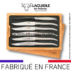 6 couteaux de table laguiole tout inox satiné