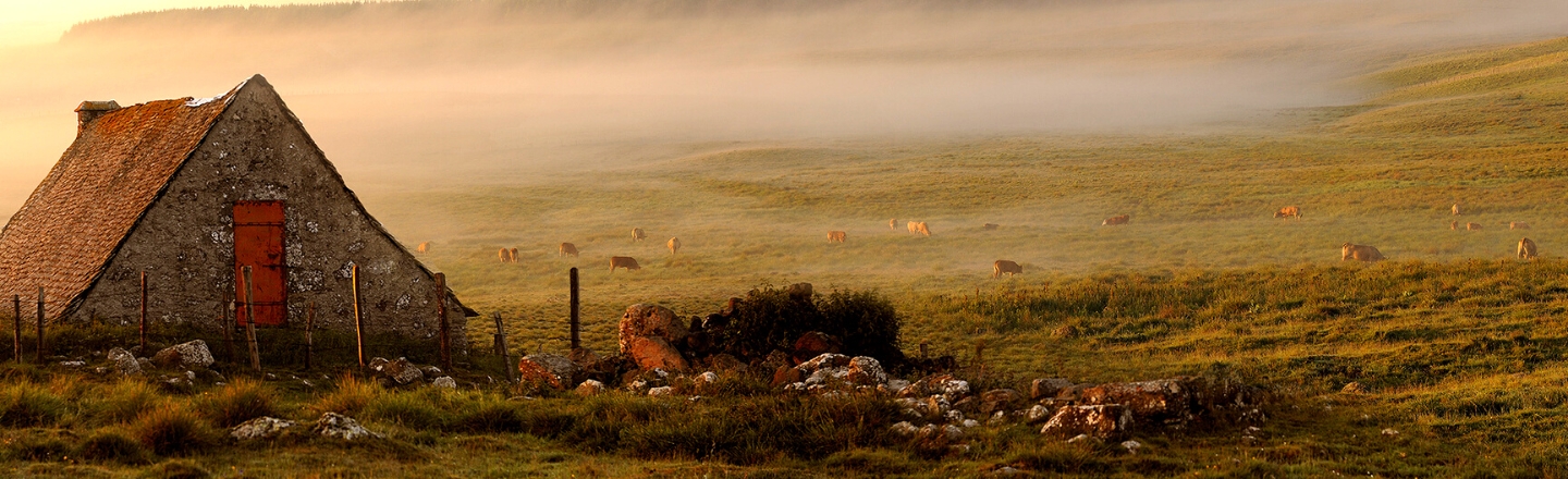 paysage en aubrac hiver