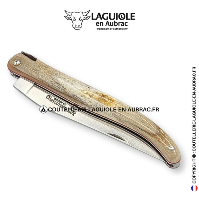 Écho des Âges : couteau laguiole plein manche en ivoire fossile de mammouth – abeille et platines ciselées