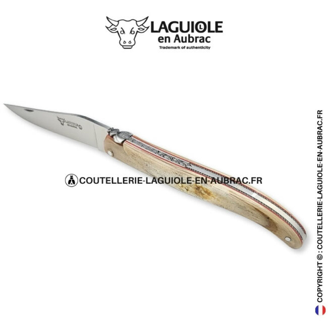 Écho des Âges : couteau laguiole plein manche en ivoire fossile de mammouth – abeille et platines ciselées