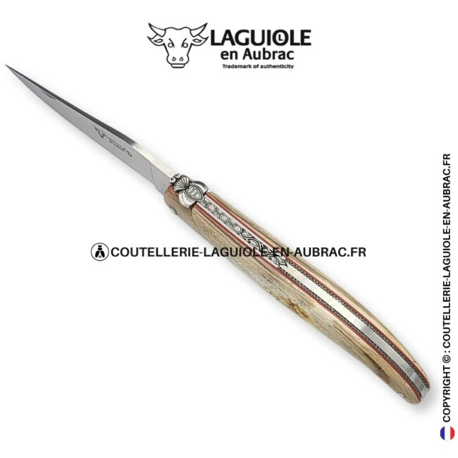 Écho des Âges : couteau laguiole plein manche en ivoire fossile de mammouth – abeille et platines ciselées