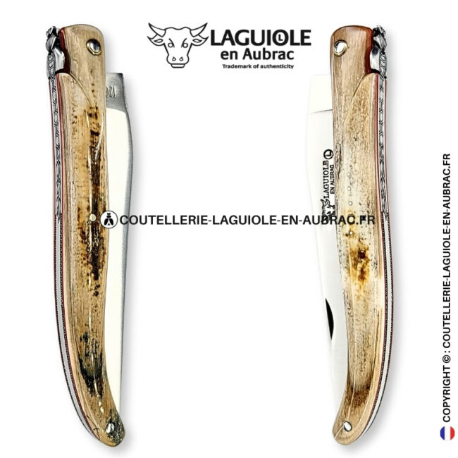 Écho des Âges : couteau laguiole plein manche en ivoire fossile de mammouth – abeille et platines ciselées