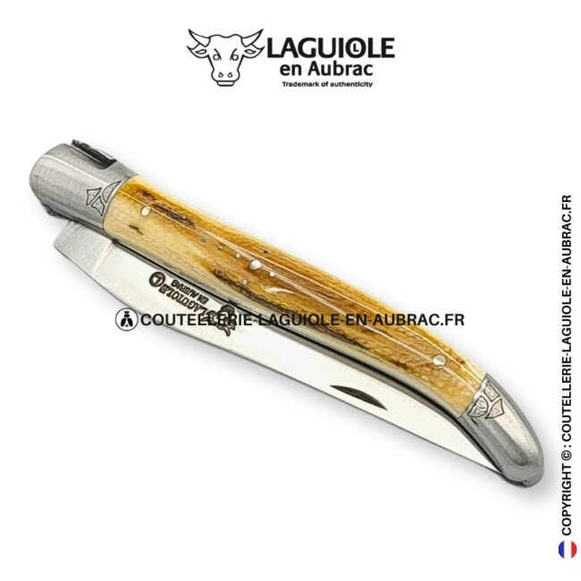 Éclat fossile : couteau laguiole en ivoire de mammouth marron et crème – abeille sculptée – mitres gravées