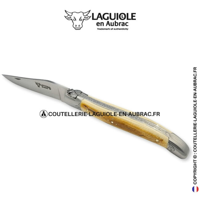 Éclat fossile : couteau laguiole en ivoire de mammouth marron et crème – abeille sculptée – mitres gravées