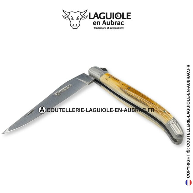 Éclat fossile : couteau laguiole en ivoire de mammouth marron et crème – abeille sculptée – mitres gravées