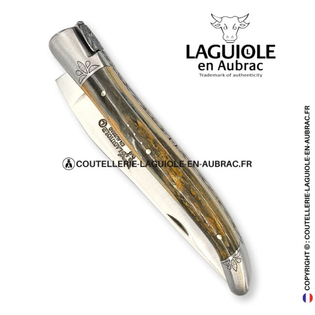 héritage arctique : couteau laguiole en ivoire fossile vert bleu – mitres et ressort ciselés