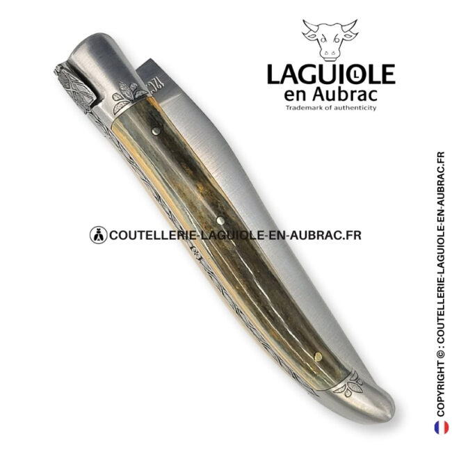 héritage arctique : couteau laguiole en ivoire fossile vert bleu – mitres et ressort ciselés