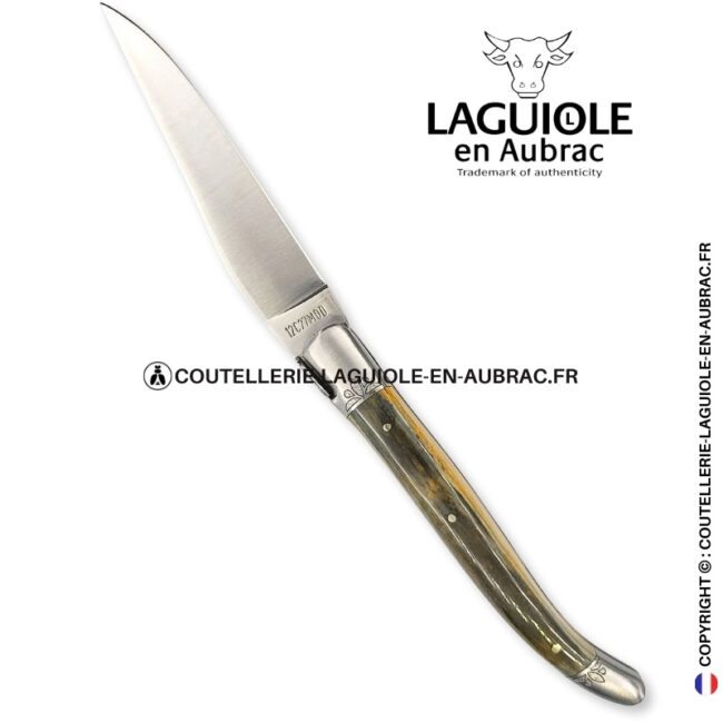 héritage arctique : couteau laguiole en ivoire fossile vert bleu – mitres et ressort ciselés