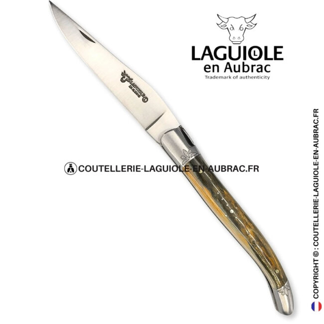 héritage arctique : couteau laguiole en ivoire fossile vert bleu – mitres et ressort ciselés