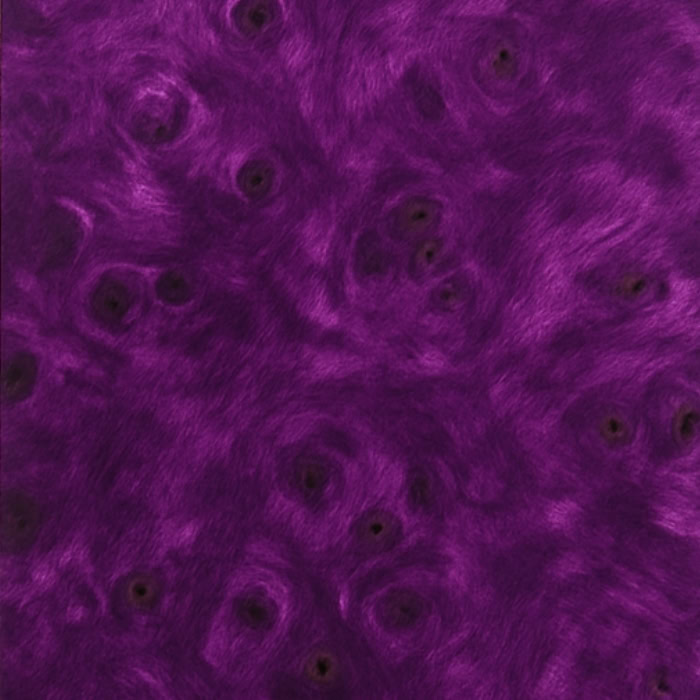 loupe de sureau violet