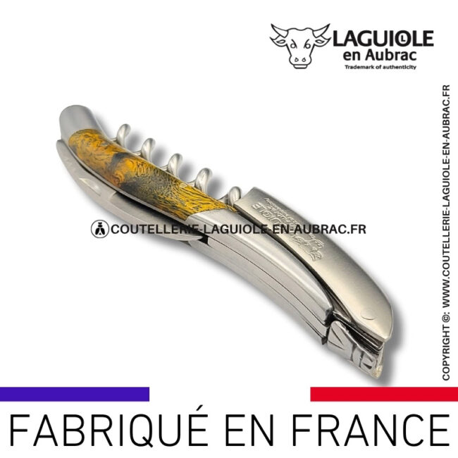 sommelier laguiole en aubrac en cheesewood ondé vert pistache