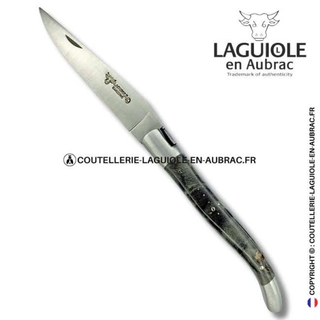 abeille nocturne : couteau laguiole en loupe de peuplier noire