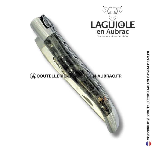 abeille nocturne : couteau laguiole en loupe de peuplier noire