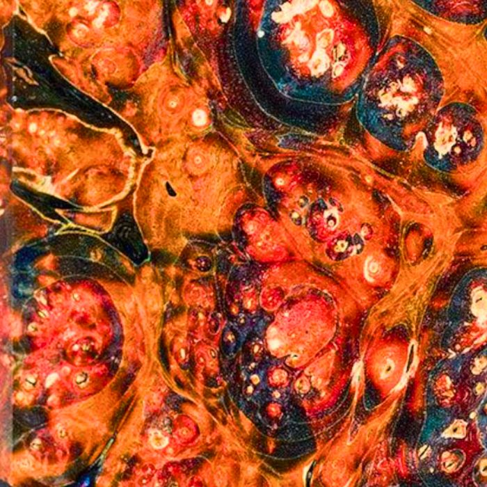 loupe de sureau multicolore