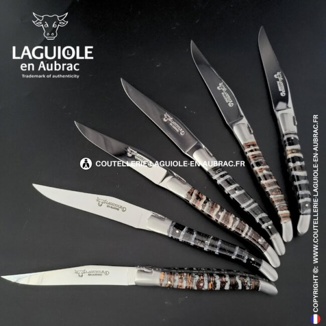 couteaux de table laguiole en aubrac en molaire de mammouth mixtes (set de 6)