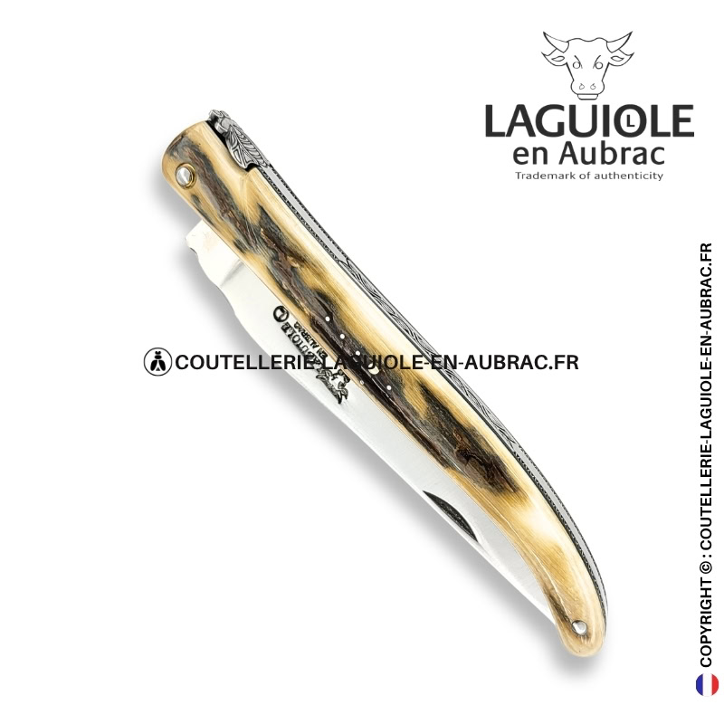 brume glaciaire : couteau laguiole en croûte d'ivoire de mammouth – abeille sculptée – ressort ciselé et platines guillochées