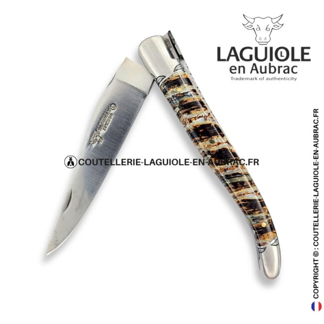 frisson végétal : couteau laguiole en molaire de mammouth marron – abeille sculptée – ressort et mitres ciselés