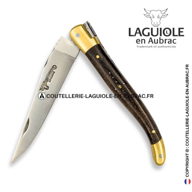 l'or des tourbières : couteau laguiole en bois de morta – mitres laiton et platines cuivre – abeille et ressort ciselés