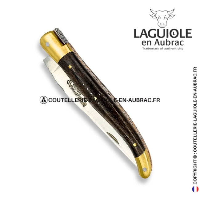 l'or des tourbières : couteau laguiole en bois de morta – mitres laiton et platines cuivre – abeille et ressort ciselés