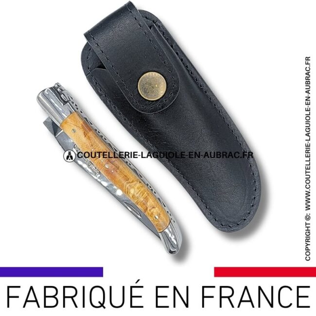 etui en cuir végétal noir classique et passant ceinture