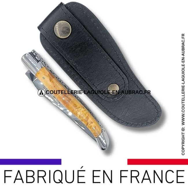 etui en cuir végétal noir classique et passant ceinture
